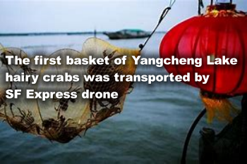 Prva košara dlakavih rakova iz jezera Yangcheng prevezena je SF Express dronom